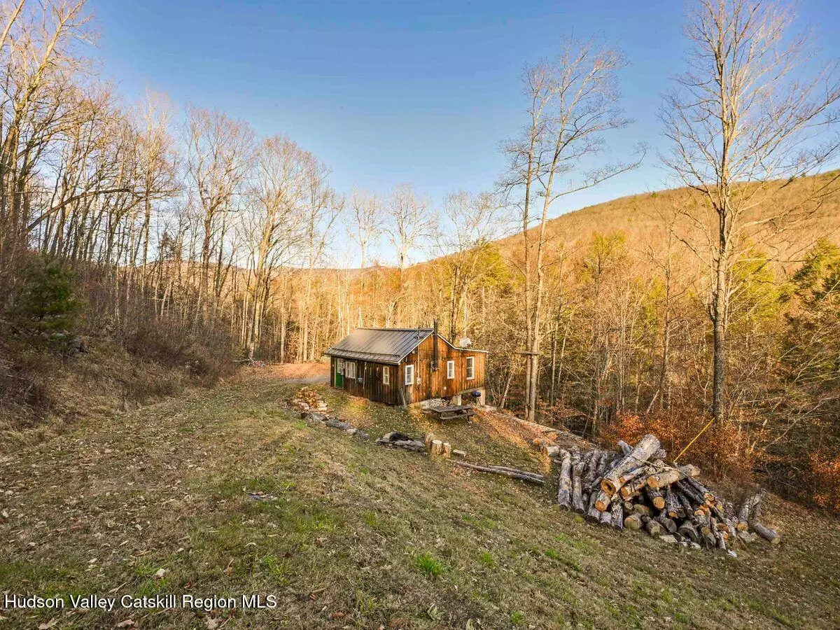 Shandaken, NY 12480,165 Broadstreet Hollow RD