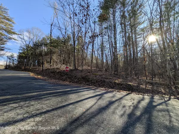 Chatham, NY 12037,00 Riders Mills RD