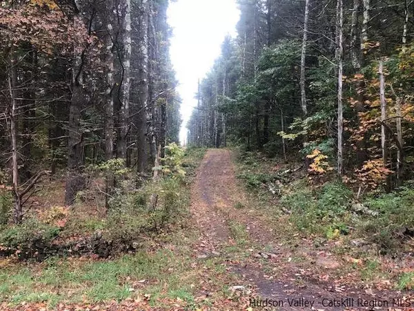 673 Alcove RD, New Baltimore, NY 12124