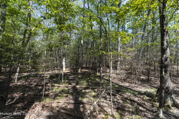 Saugerties, NY 12477,Tbd Mossy Trail