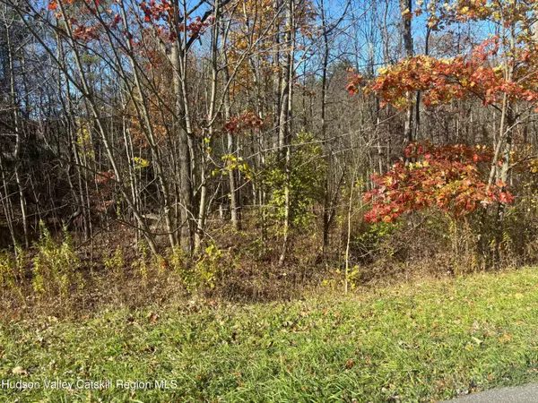 New Paltz, NY 12561,153 Route 208