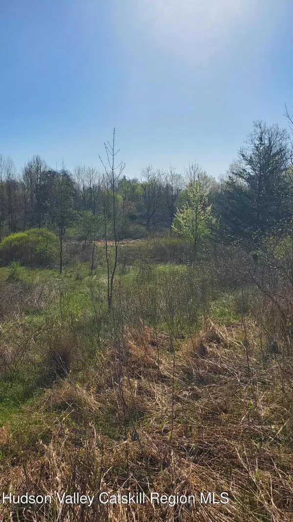 Kerhonkson, NY 12446,Tbd Boice Mill RD