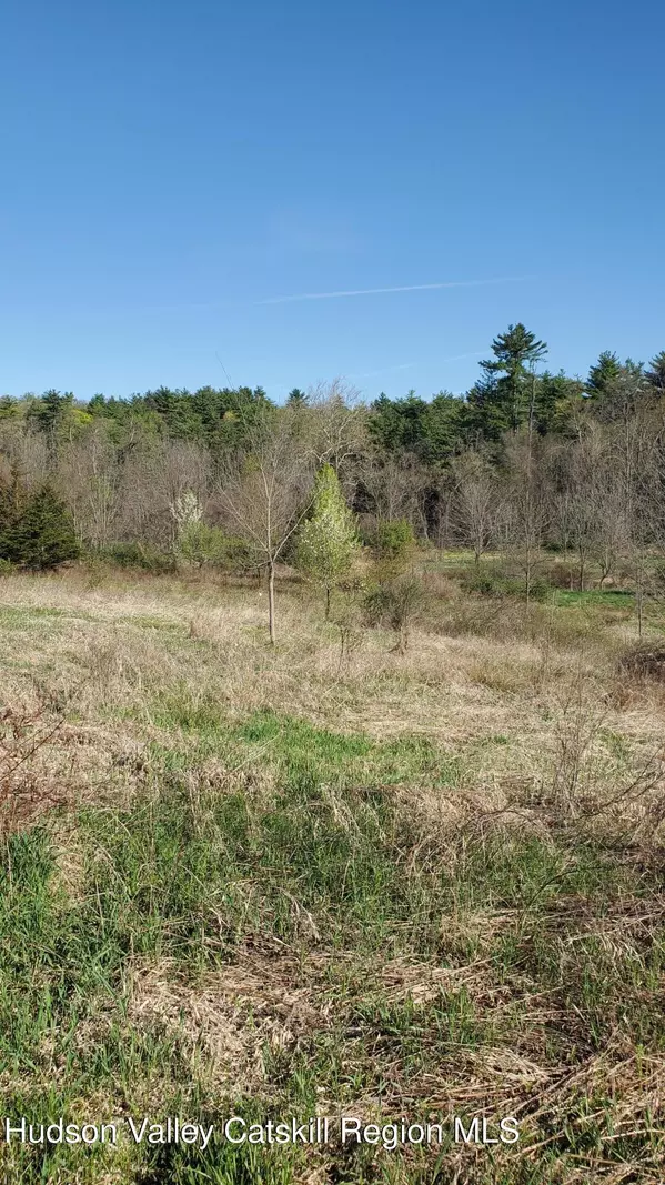 Kerhonkson, NY 12446,Tbd Boice Mill RD