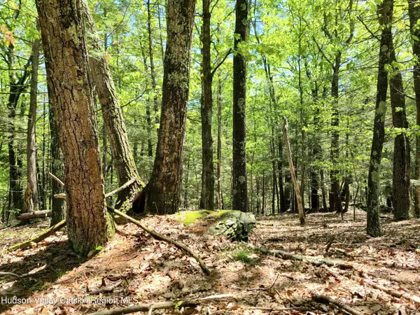 Kingston, NY 12401,221 South RD