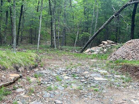 West Hurley, NY 12491,Tbd Ny-28a