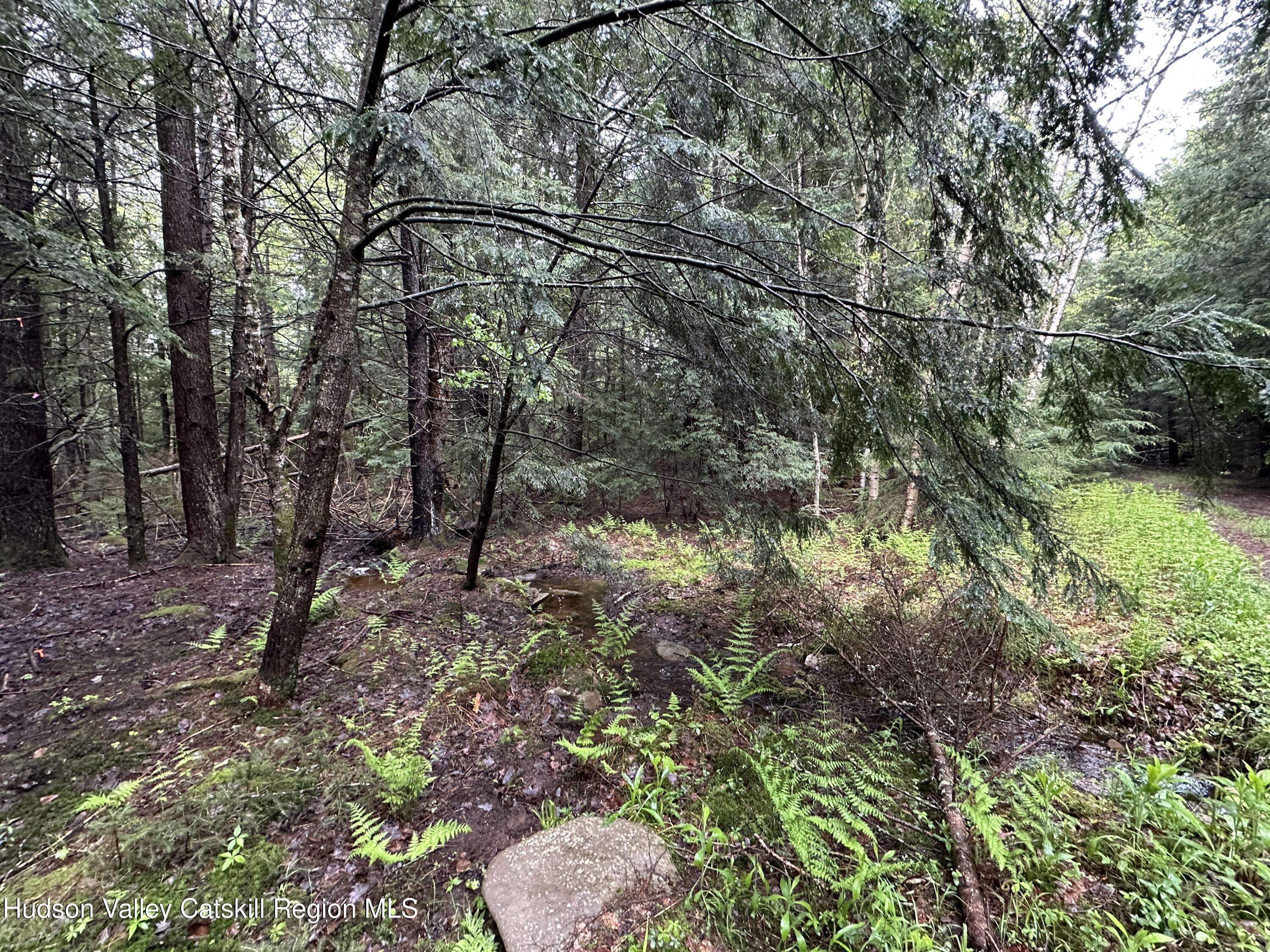 Tannersville, NY 12485,0 Stone ST