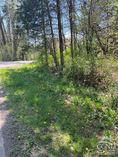 4 Catskill CT, Athens, NY 12015