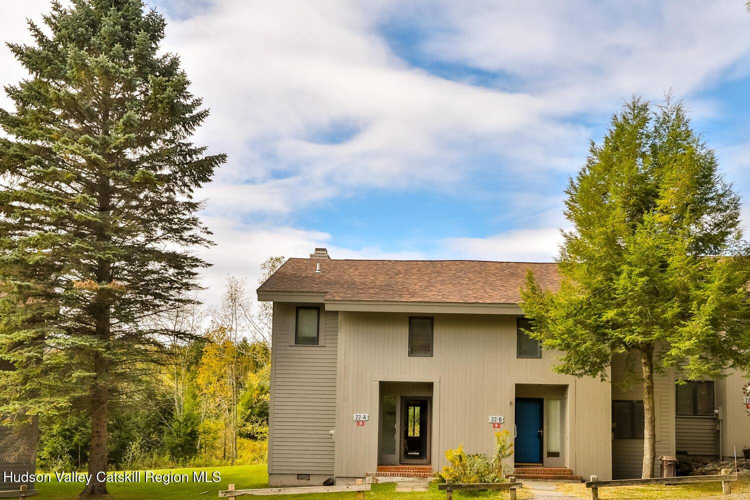 Windham, NY 12496,28 Loo Bridge LN #22a
