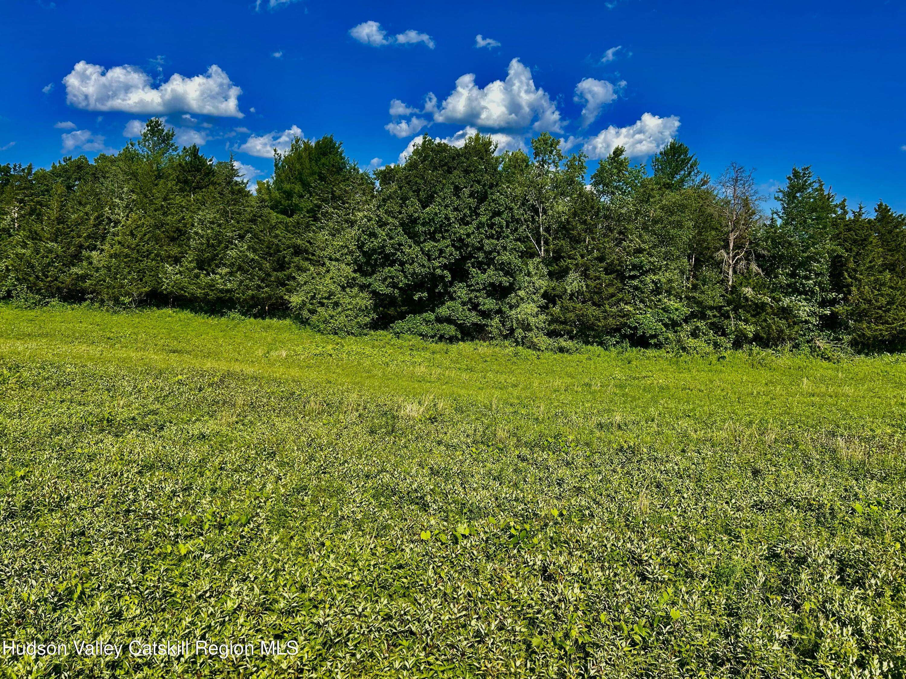 Livingston, NY 12541,00 Mambert RD