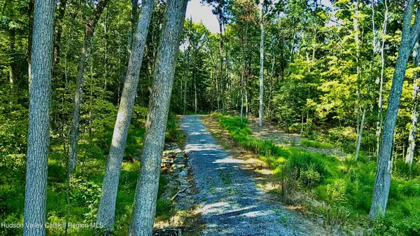 Hyde Park, NY 12538,80 Forever Ivy LN