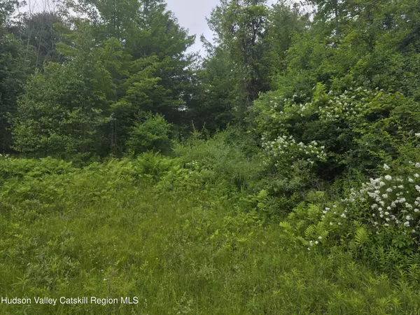 Durham, NY 12469,615 Allen Teator RD