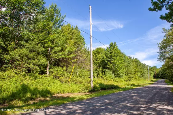 L-16.2 Donlan Heights RD, Middleburgh, NY 12122