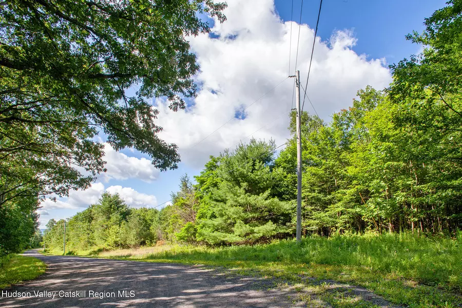 L-16.5 Donlan Heights RD, Middleburgh, NY 12122