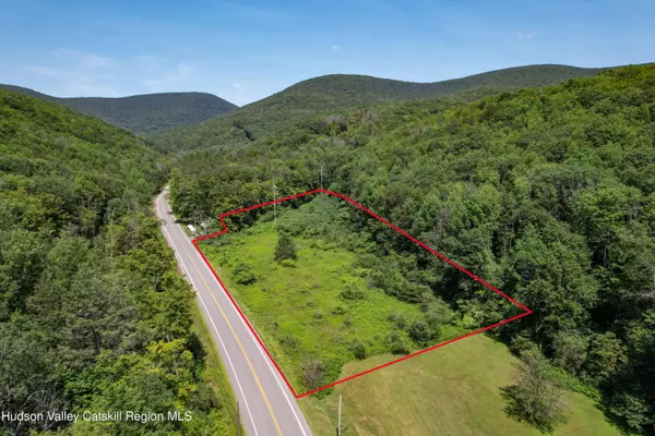 Tbd Route 42, Lexington, NY 12452