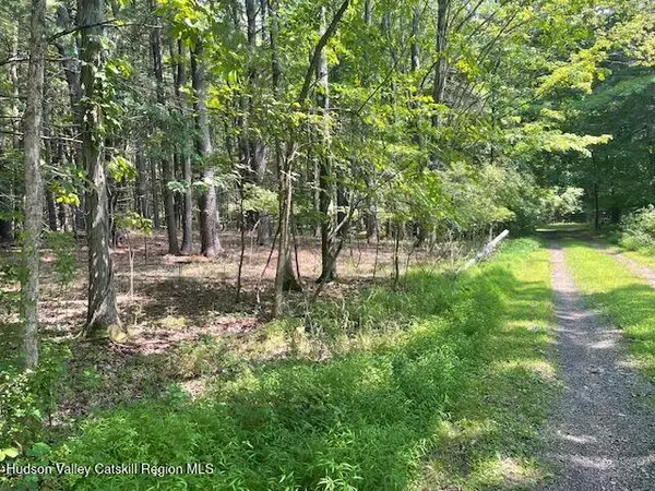 Greenville, NY 12083,L-5 Off Gayhead Earlto RD