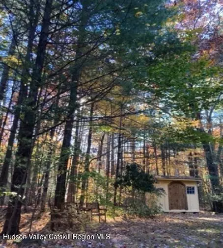 Mt. Tremper, NY 12457,1311 Wittenberg RD