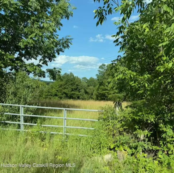 0 Saybrook Hill RD, Oak Hill, NY 12460