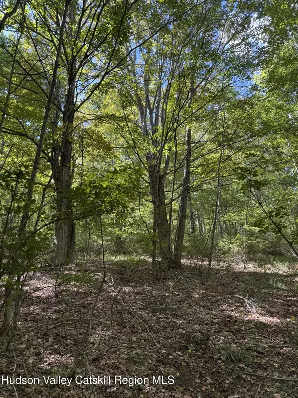 Margaretville, NY 12455,Tbd Running Horse RD