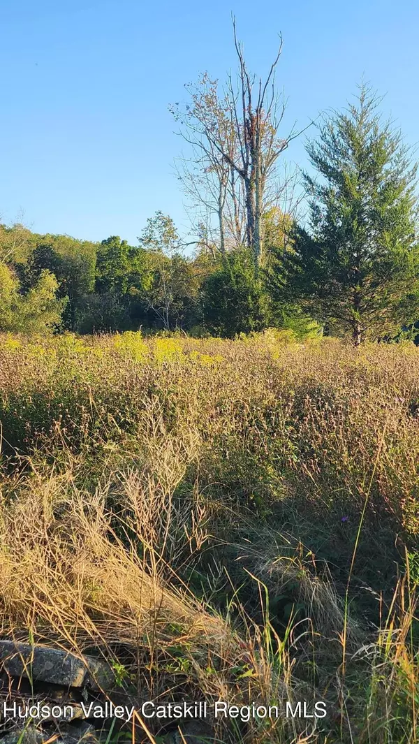 Wawarsing, NY 12489,647 Irish Cape RD