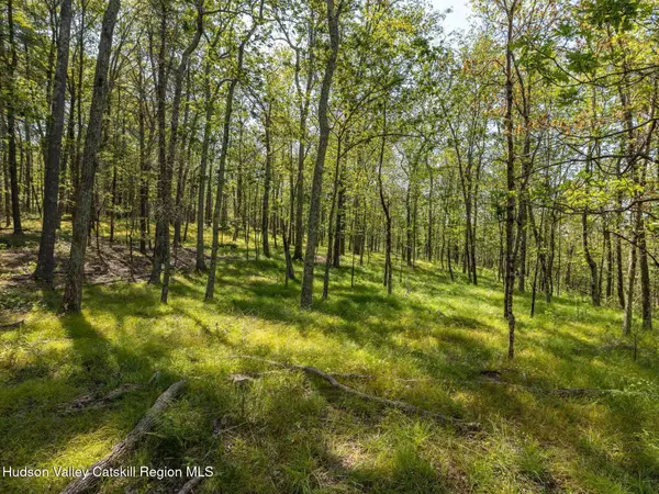 Hurley, NY 12443,00 Dug Hill RD