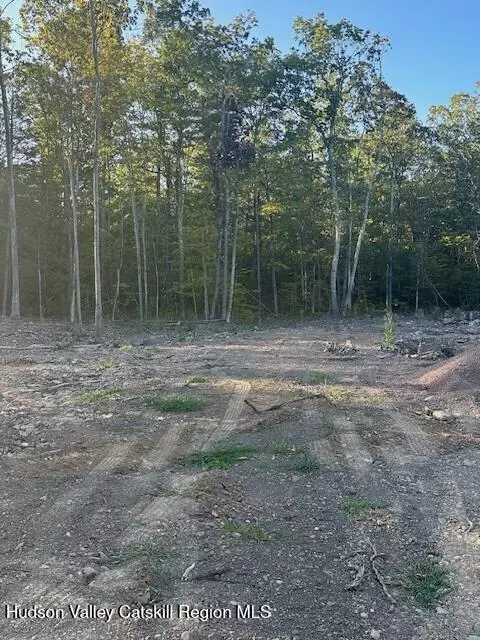 Cairo, NY 12413,59 Olivers Way