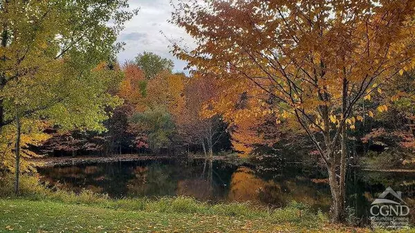 Conesville, NY 12076,273 East Conesville RD