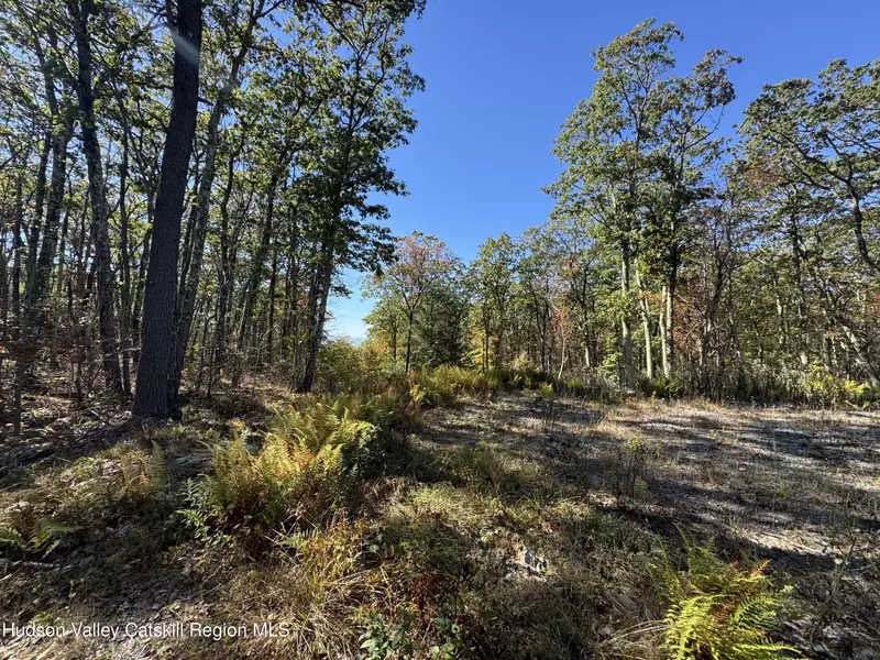 O Mercer Mountain RD, Canaan, NY 12029