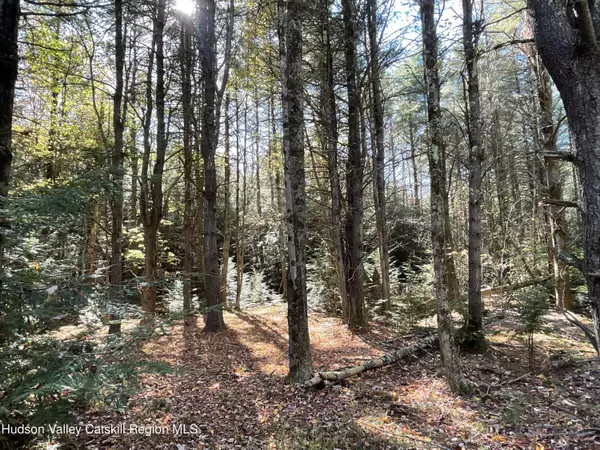 Ashland, NY 12407,497 Campbell RD