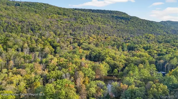 High Falls, NY 12440,55 Ginger RD