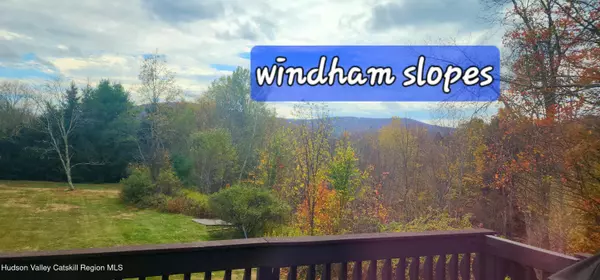 Windham, NY 12496,19 Brook Hollow LN