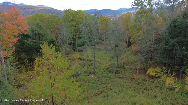 0 North Ridge EXT, Windham, NY 12496