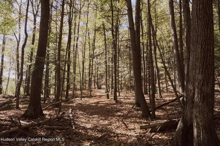 Lot 2 & 3 Potter Hill Rd, Ulster, NY 12401