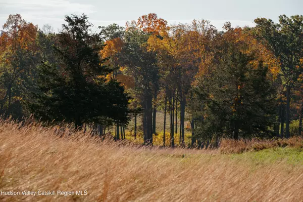 Tivoli, NY 12583,78-79 Fox LN