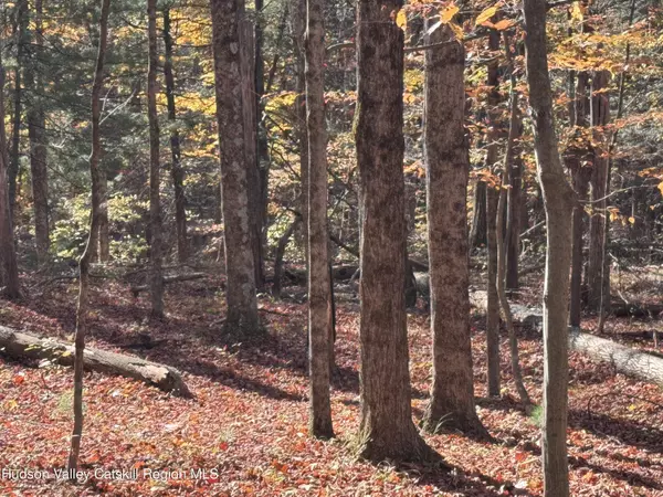 Willow, NY 12495,Tbd Cross Patch RD