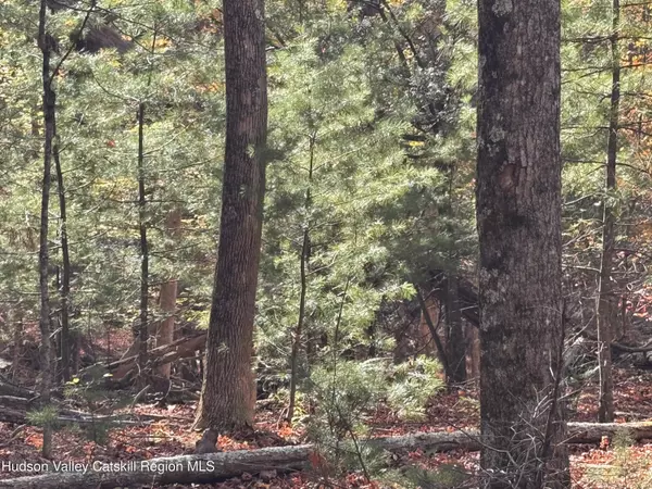 Willow, NY 12495,Tbd Cross Patch RD