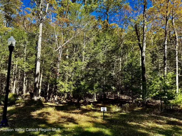 Palenville, NY 12463,78 Falling Waters Drive DR