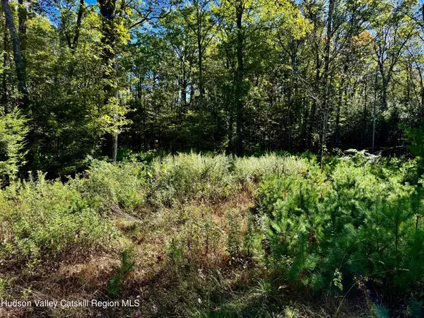 Palenville, NY 12463,86 Falling Waters DR