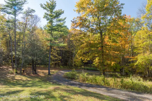 Catskill, NY 12414,78 Ridgeway Rd