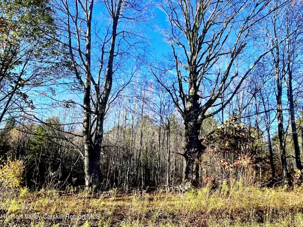 Jewett, NY 12444,0 Goshen ST