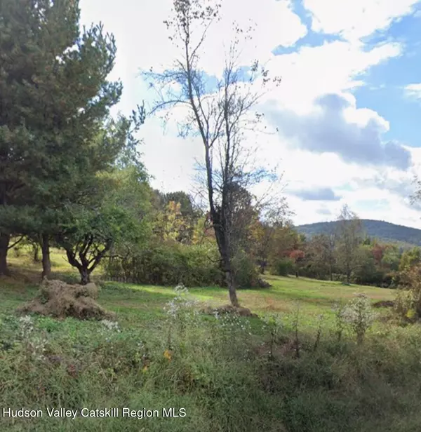 Marlborough, NY 12542,L14 Willow Tree RD