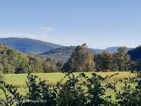 Andes, NY 13731,Tbd Lower Dingle Hill RD