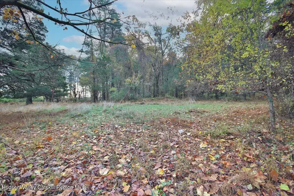 Stone Ridge, NY 12484,155 Mill Dam RD