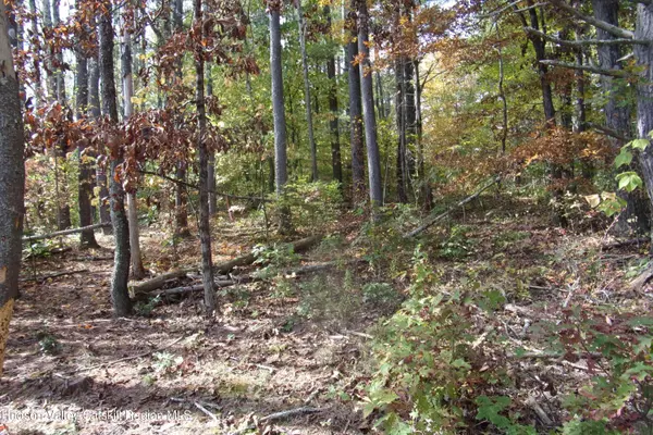 Cairo, NY 12413,128 Klingermann DR