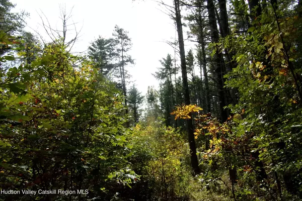 Cairo, NY 12413,128 Klingermann DR