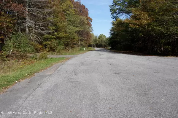 Cairo, NY 12413,128 Klingermann DR