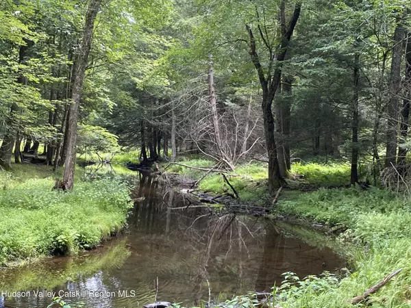 Accord, NY 12404,239 Sundale RD