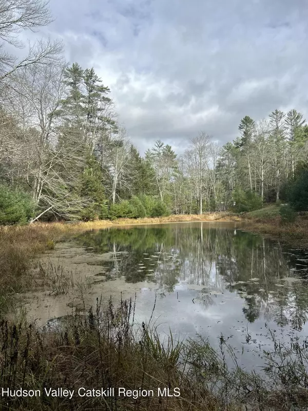 Accord, NY 12404,239 Sundale RD