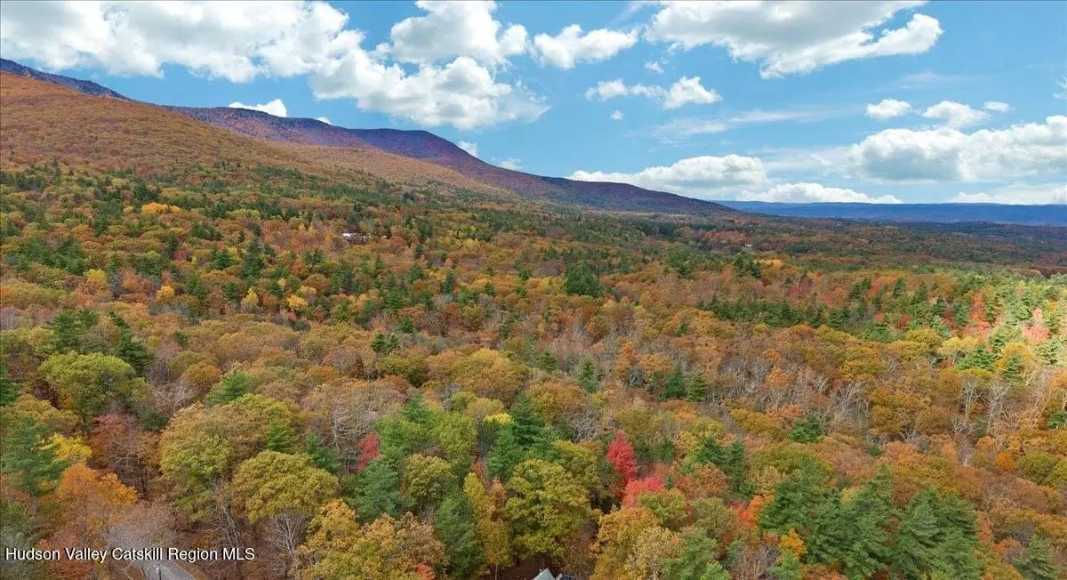 Round Top, NY 12473,Lot 5 Storks Nest Road