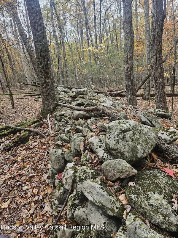 Round Top, NY 12473,Lot 5 Storks Nest Road