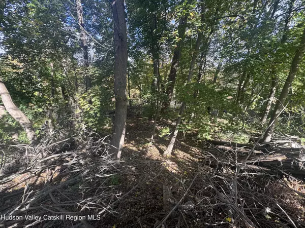 Hudson, NY 12534,0 Bayley BLVD